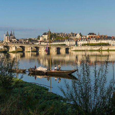 Le Wilson - Vue Imprenable Sur La Loire Et Le Chateau De بلْوا المظهر الخارجي الصورة