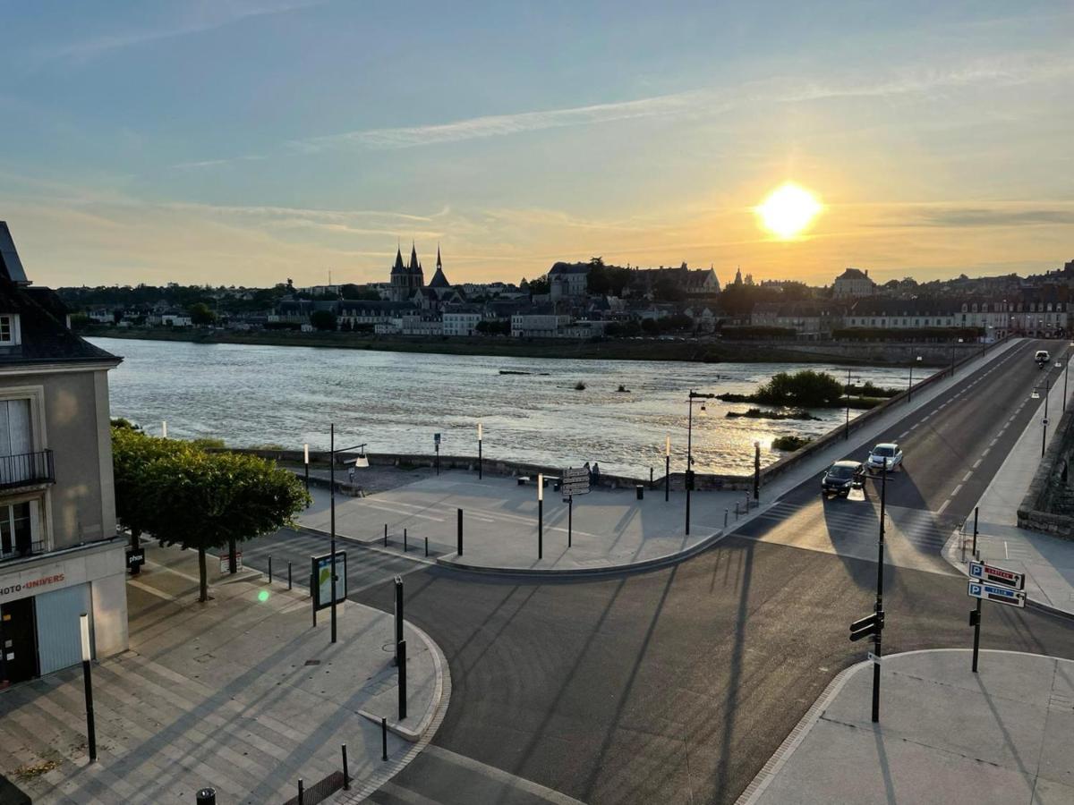 Le Wilson - Vue Imprenable Sur La Loire Et Le Chateau De بلْوا المظهر الخارجي الصورة