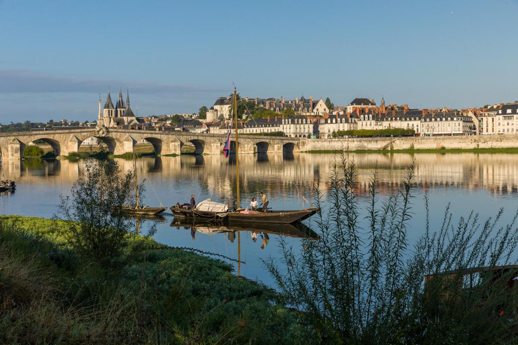 Le Wilson - Vue Imprenable Sur La Loire Et Le Chateau De بلْوا المظهر الخارجي الصورة